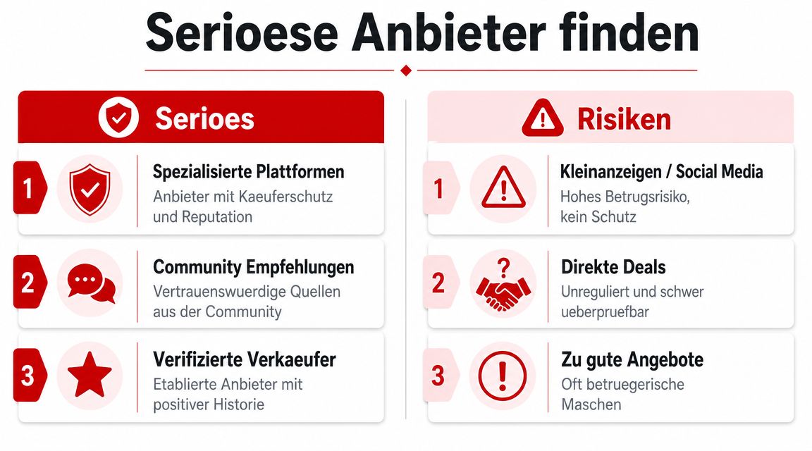 Infografik mit Tipps zur Erkennung seriöser Anbieter und Risiken beim Kauf digitaler Konten im Internet.